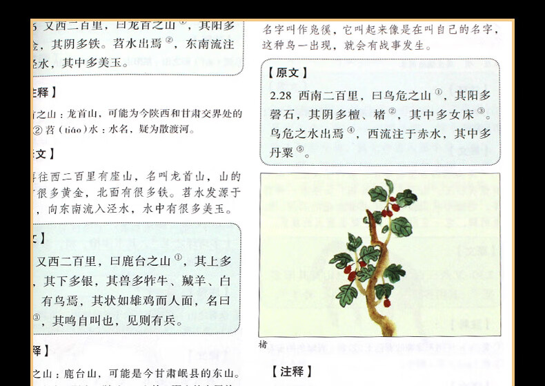 37884-山海经全集 共18卷 原版 白话文 正版原著 彩图画集绘本 全本全译 成人儿童均可阅读 古代神话书籍 山海经-详情图