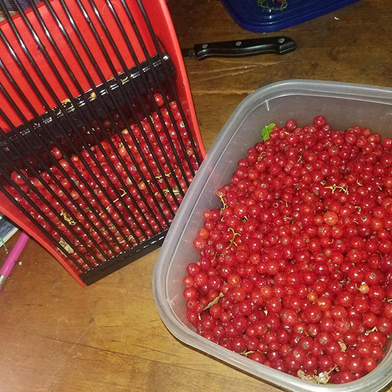 欧格达(ougeda)新款蓝莓采摘器带手柄蓝莓铲采摘神器园林工具摘蓝莓