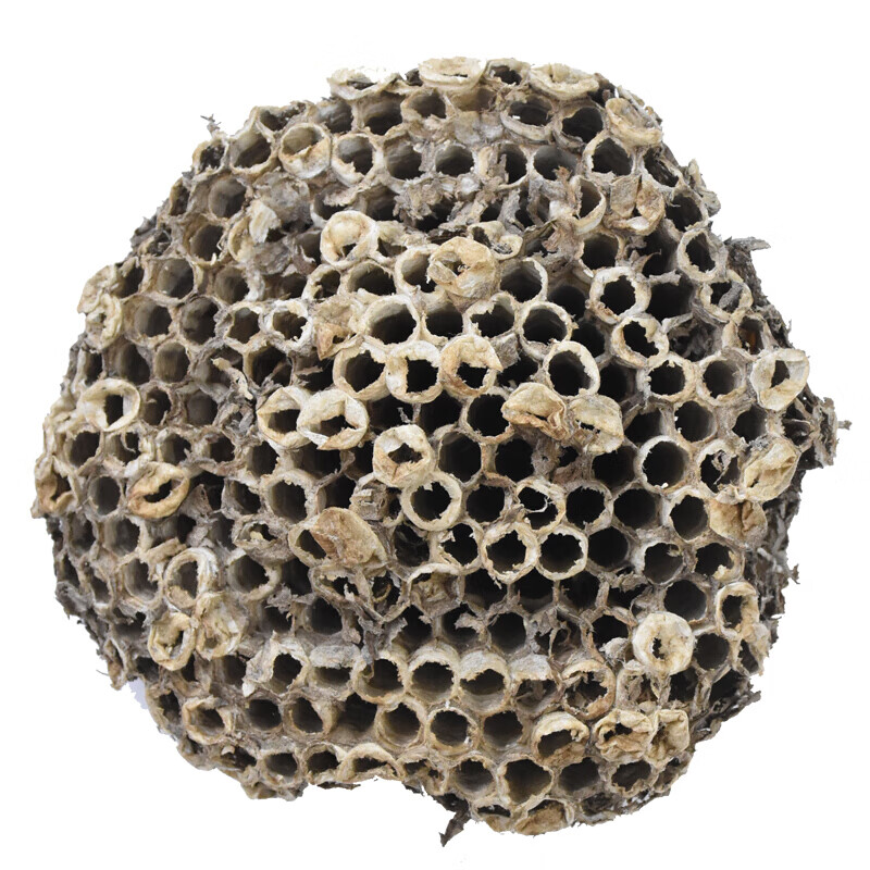 北京同仁堂中药材野生马蜂窝软蜂房正宗药用大眼蜂房人工精选露蜂房