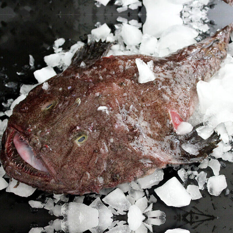 特大号安康鱼鲜活速冻大丑鱼大嘴鱼鮟鱇鱼新鲜海鲜生