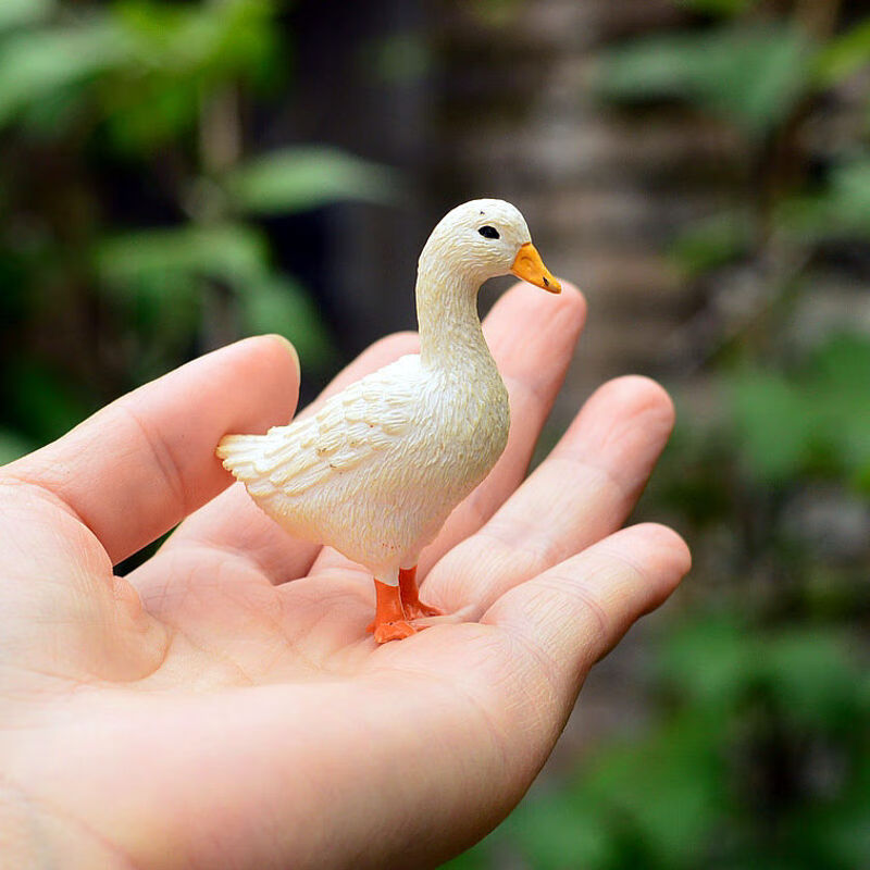 【新品】母鸡公鸡/鹅/鸭子仿真动物模型摆件公仔农场家禽动物模型儿童