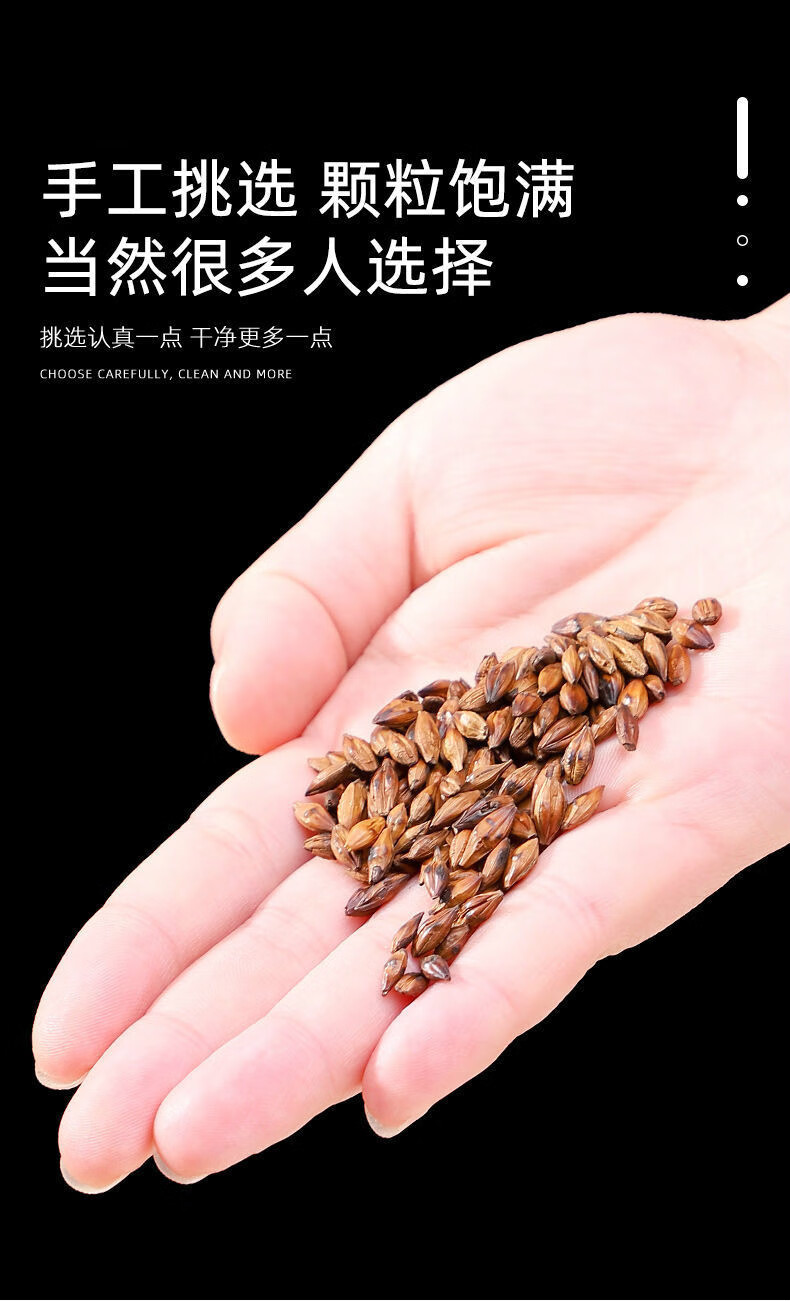 大麦茶回奶饭店专用回奶大麦茶熟粒大包装养生茶 大罐大麦茶 1000g