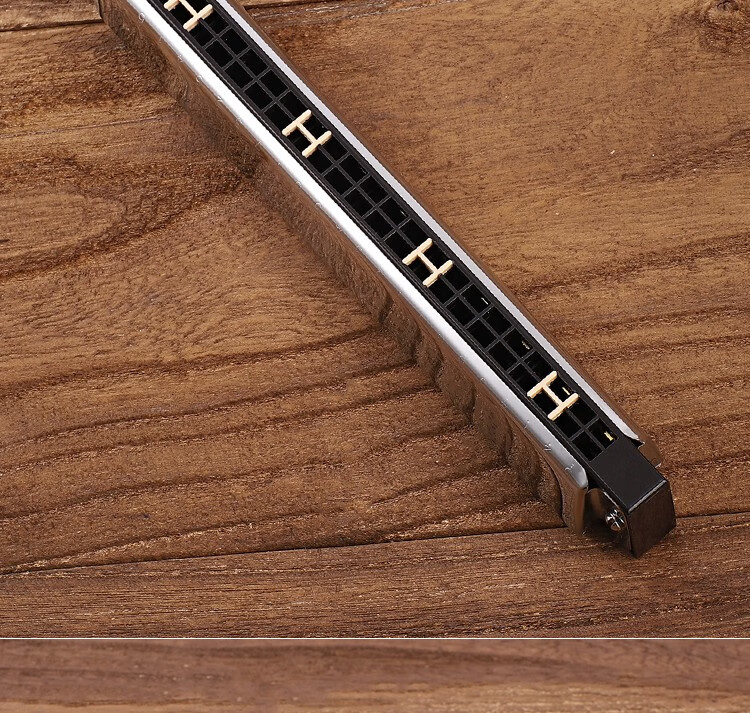 进口音簧国光回声口琴24孔复音c调初学者学生儿童重音高级成人专业