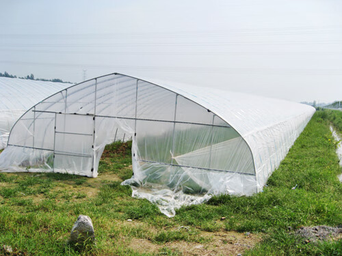 温室大棚塑料薄膜 棚膜 保温防寒 透明塑料布 加厚长寿无滴薄膜 (10米