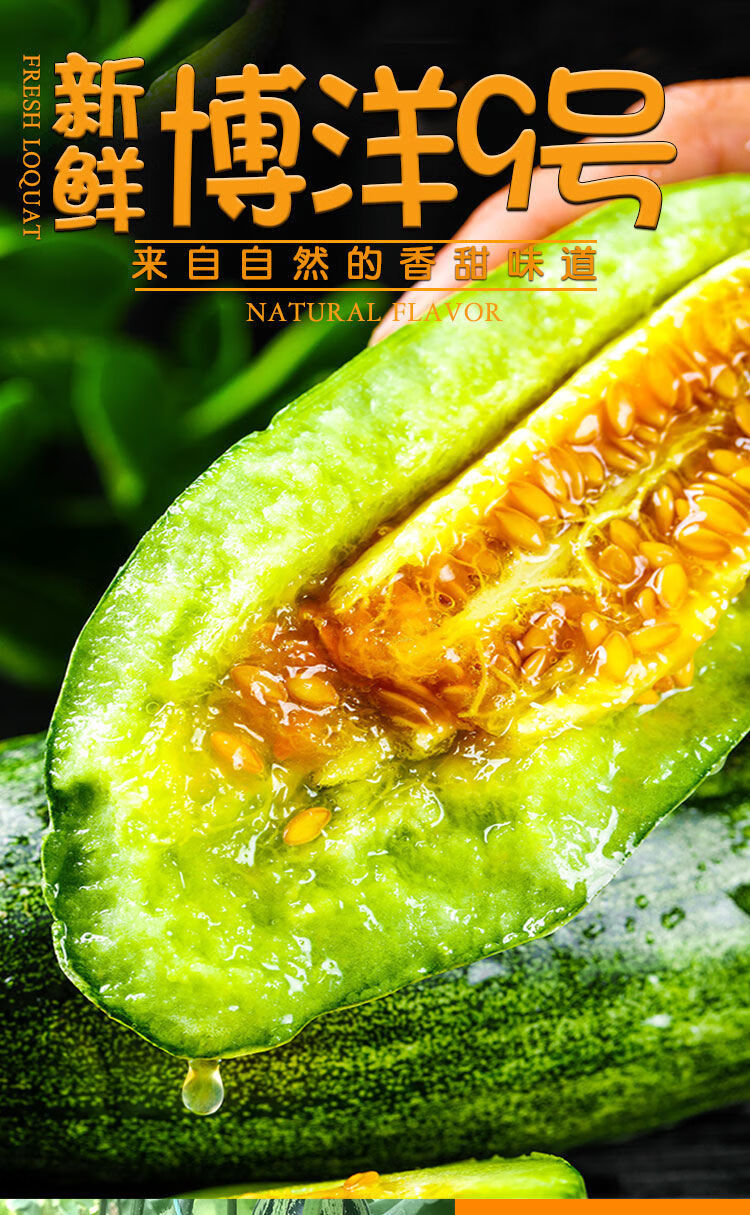 头茬精选现摘博洋9号甜瓜山东新鲜水果羊角蜜香瓜酥脆批发带箱5斤严选