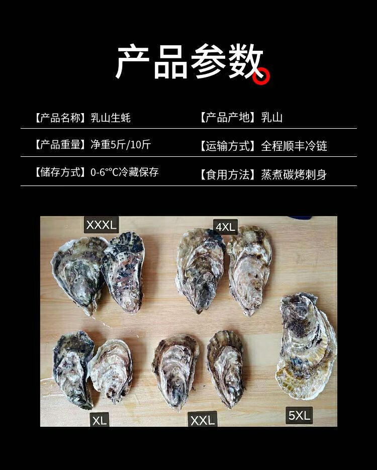 乳山三倍体生蚝海蛎子鲜活5斤10特大海鲜刺身级牡蛎新鲜整箱l5斤