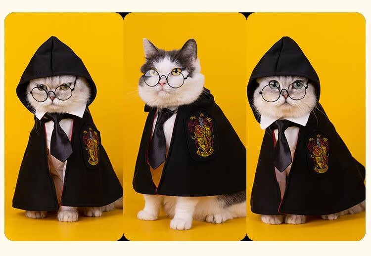 猫咪衣服公猫帅气宠物万圣节衣服网红小猫猫咪斗篷狗狗泰迪搞笑公猫