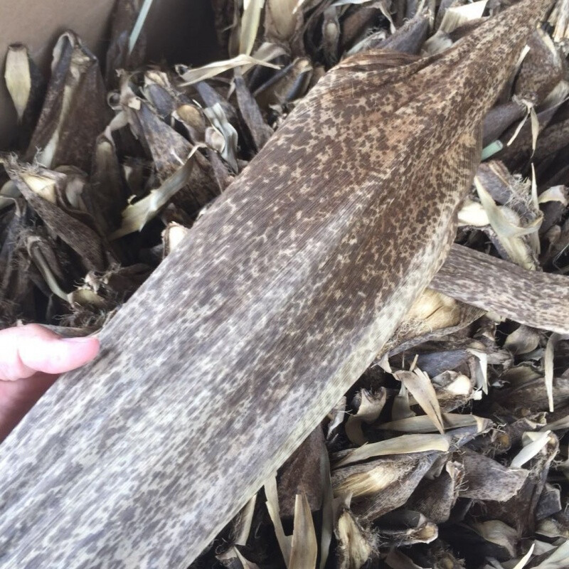 竹笋叶壳新货四川宜宾毛竹壳粽子叶豹纹楠竹笋叶端午包粽子笋壳黄粑壳