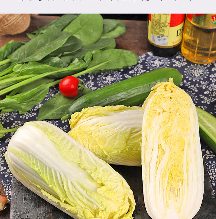 超低价现新鲜黄心娃娃菜小白菜精品蔬菜时令火锅菜小娃娃菜商超品质3