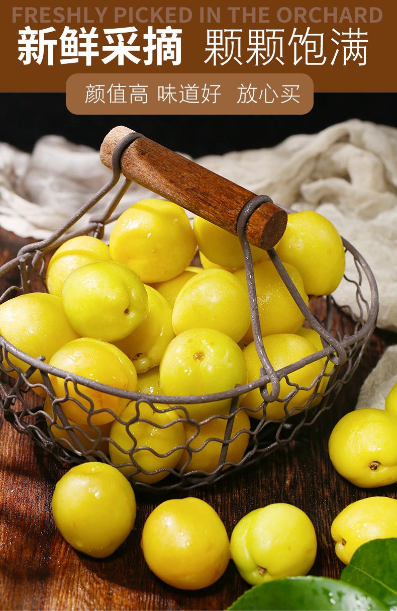 新疆小白杏新鲜轮台库车白杏应季水果整箱发顺丰3斤精品礼盒装