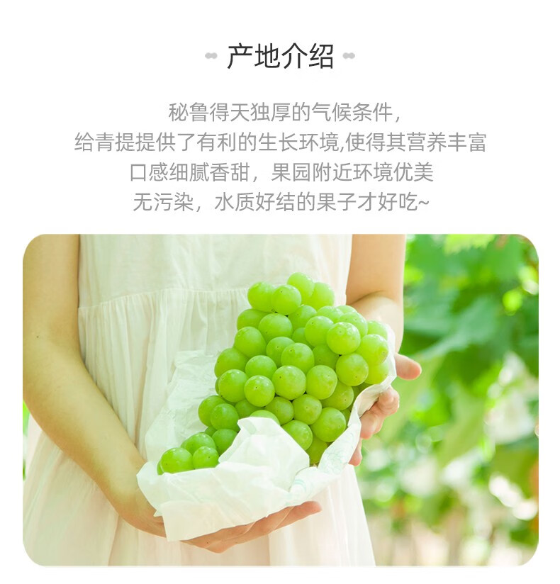 顺丰秘鲁无籽青提脆甜阳光玫瑰葡萄3斤精选好果