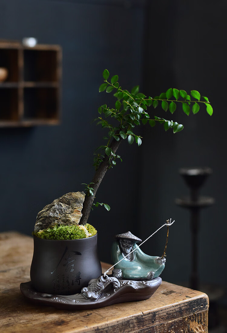 中国风紫砂花盆创意组合盆景文竹盆栽客厅桌面禅意小和尚摆件 【紫砂