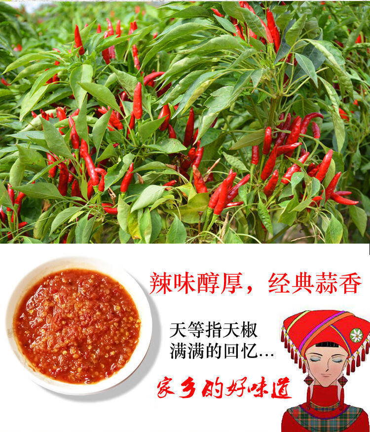 宁兴牌正宗天等指天椒酱辣椒酱 经典蒜蓉味特辣拌饭酱广西特产 【实惠