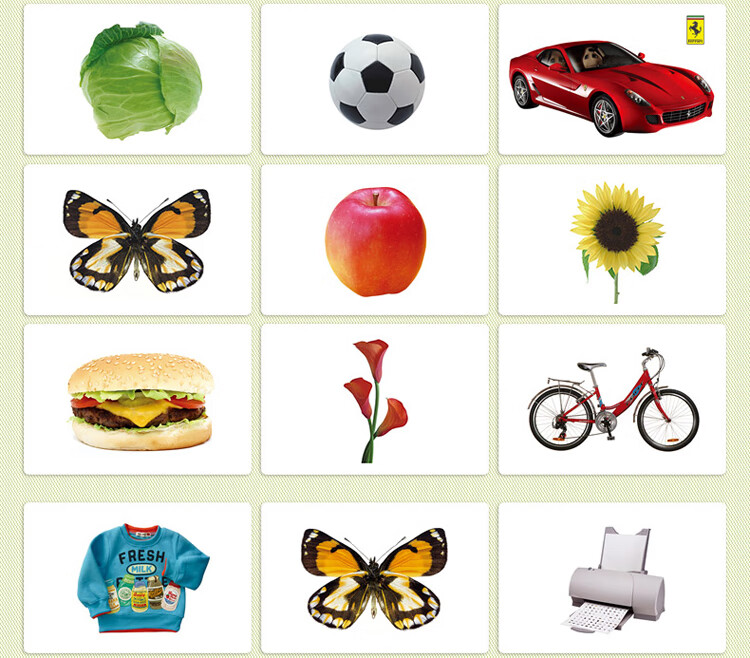 全脑识字闪卡智乐杜曼闪卡百科卡 七田脑右脑开发训练闪卡记忆套识字