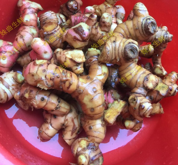 新鲜南姜山姜蓝姜芦苇姜冬阴功汤香料火锅调味品2500g