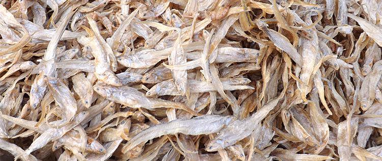 新鲜微山湖特产干货毛刀鱼 山东特产 新货干巴鱼凤尾小鱼干 220g