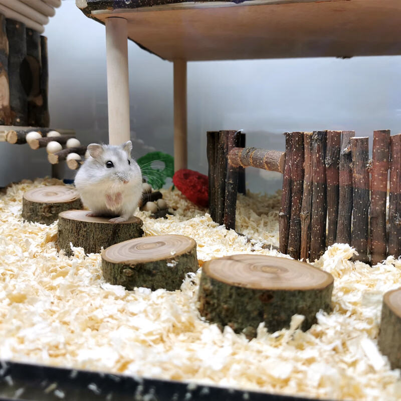 仓鼠树洞窝仓鼠金丝熊木质玩具苹果树枝爬梯围栏树洞隧道平台造景磨牙