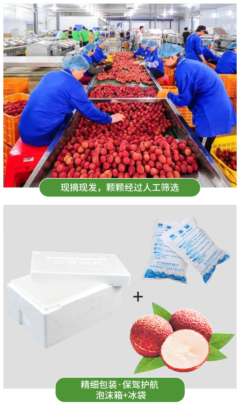 顺丰冷链无核荔枝新鲜水果海南桂味荔枝糯米滋礼盒现摘无籽荔枝红彤