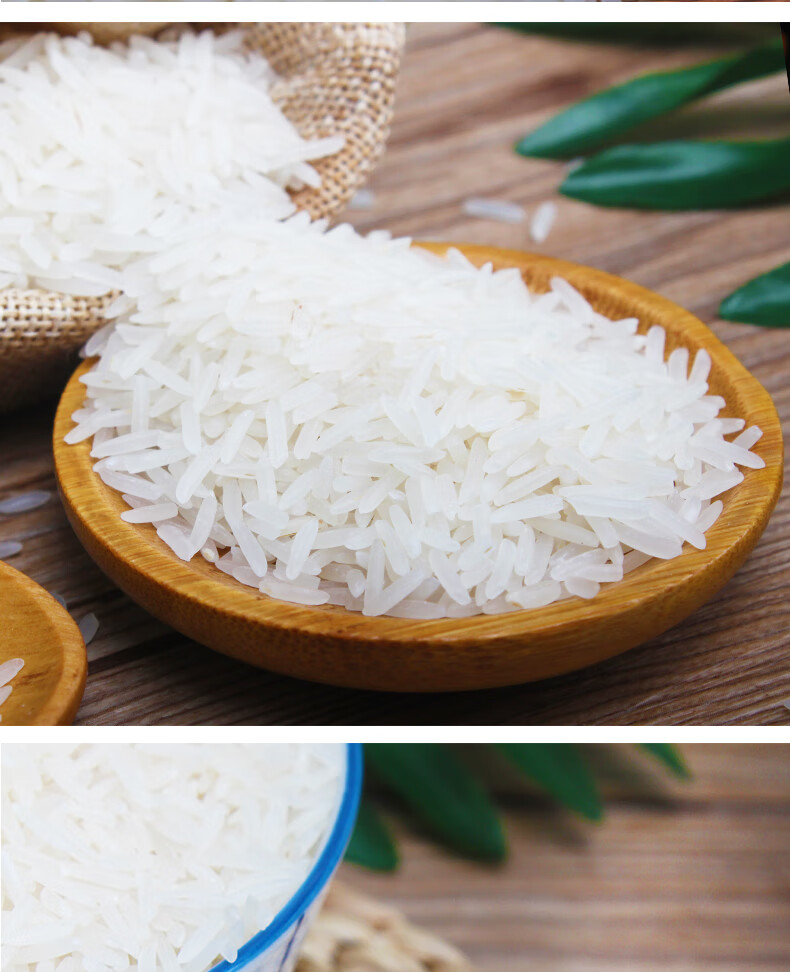 虾稻鲜米当季新米优质虾稻米长粒香米虾稻米5kg