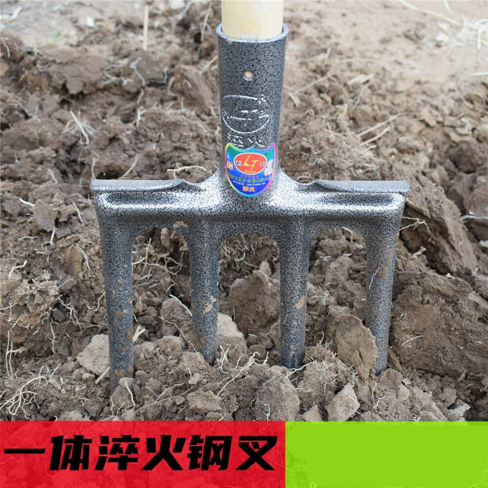 农用四齿钢叉挖蒜姜萝卜松翻土工具长柄牛粪翻地和泥叉子 加厚款 1.