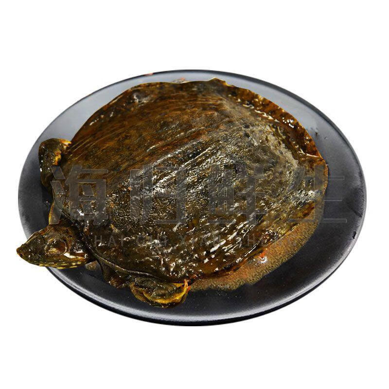 田园龟甲河南特产麻辣即食手撕卤味小甲鱼王八鳖肉零食