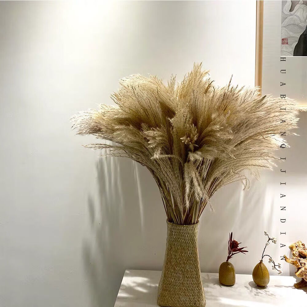 芊阙轻奢芊阙天然植物芦苇干花北欧家具咖啡馆软装装饰摆件婚庆芦苇