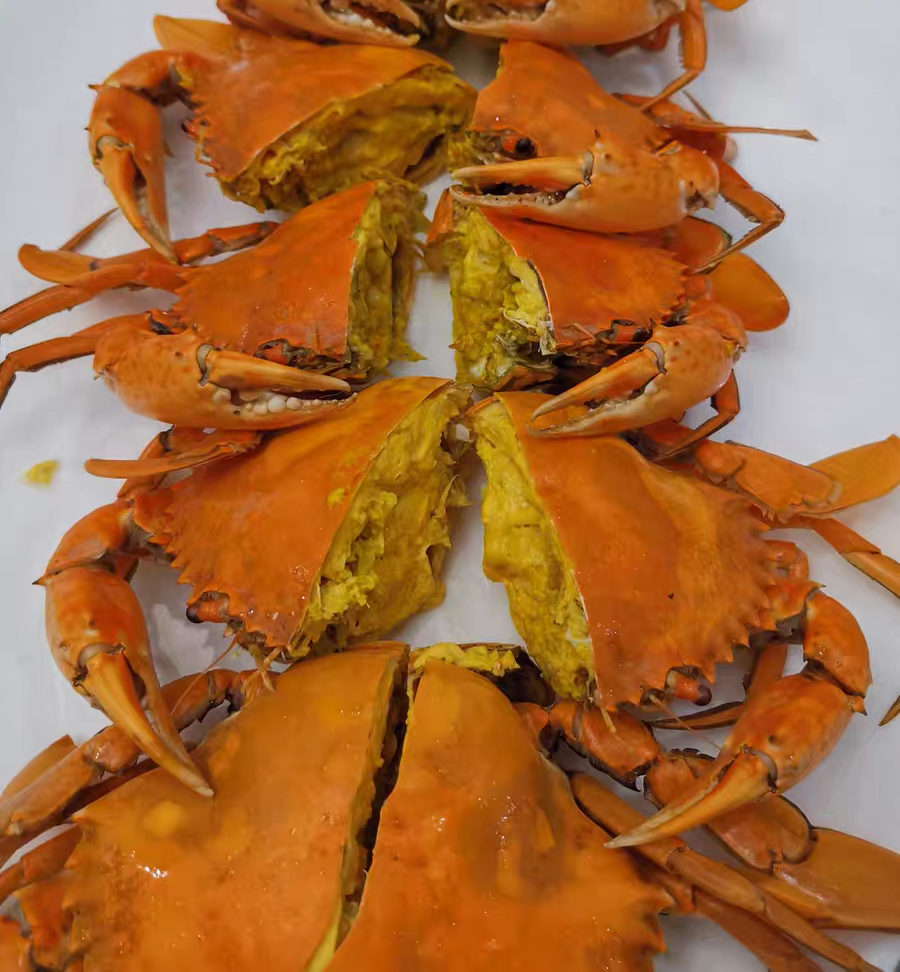 mpdq 正宗头手全油黄油蟹 广东鲜活特大黄油蟹母蟹 单只5-6两 包活
