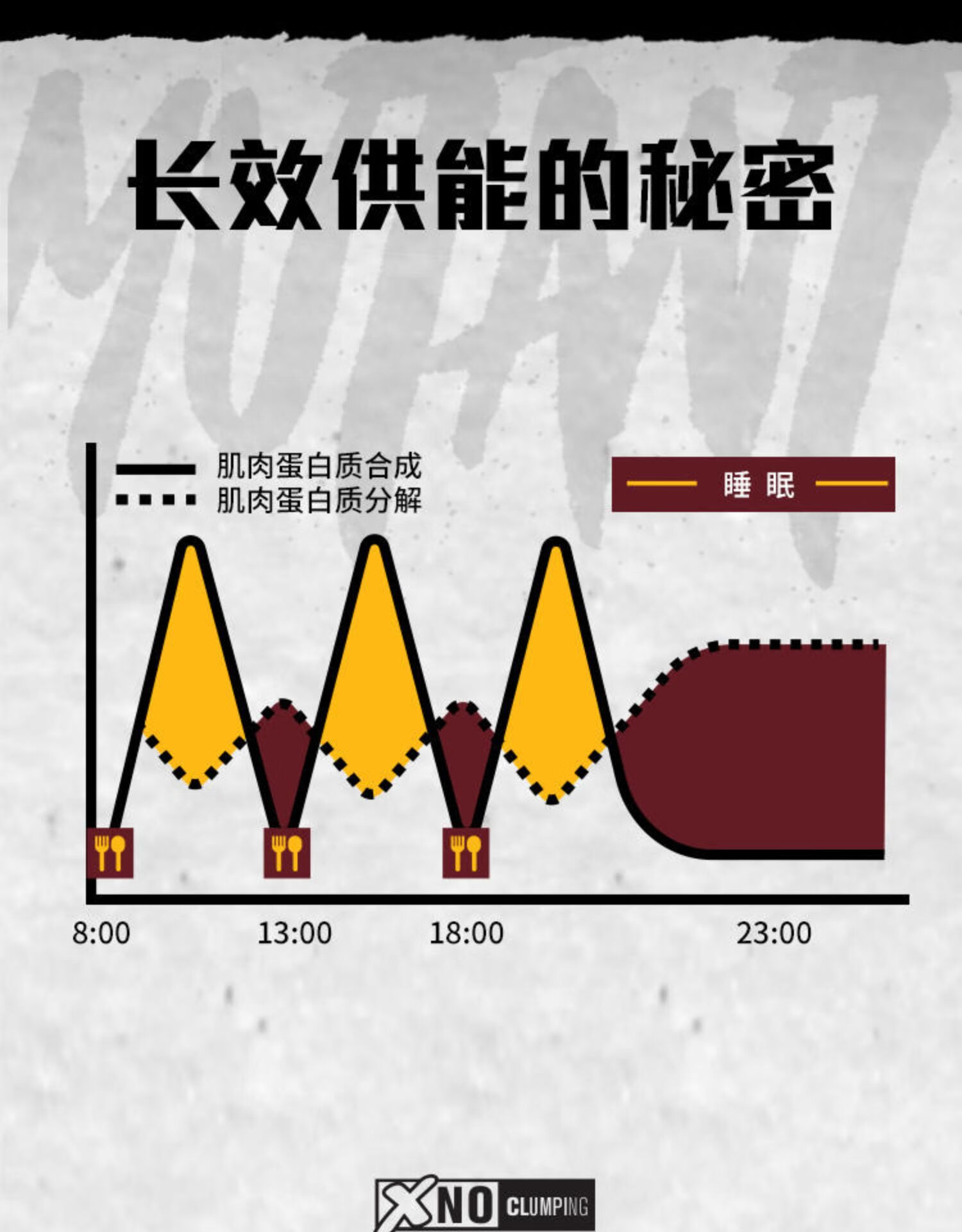 musclelab加拿大鐵血魔獸casein膠束酪蛋白粉夜間持續供能 4磅(選2