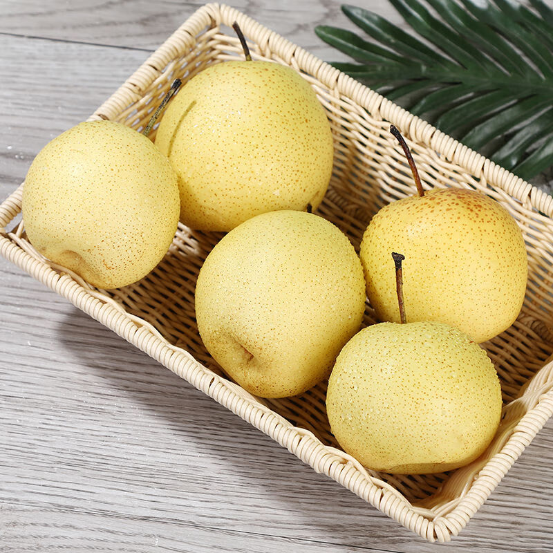 正宗雪梨河北大雪梨批发10斤冰糖雪梨新鲜梨子当季水果 净重8.