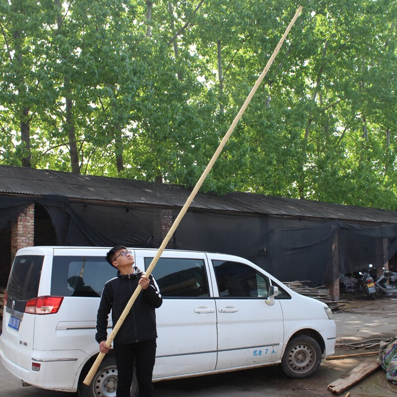 十年老杆白蜡杆武术棍少林长棍子抖大杆太极大杆黄皮圆木棍4米 总长度