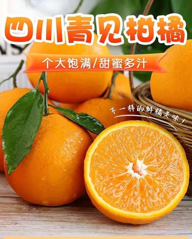 青见柑橘介绍图片