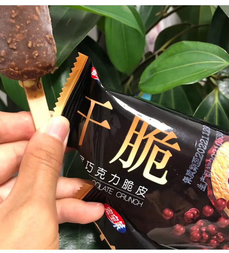 【30支】宏宝莱干脆雪糕双层黑巧克力豆脆皮童年儿时冰淇淋整箱