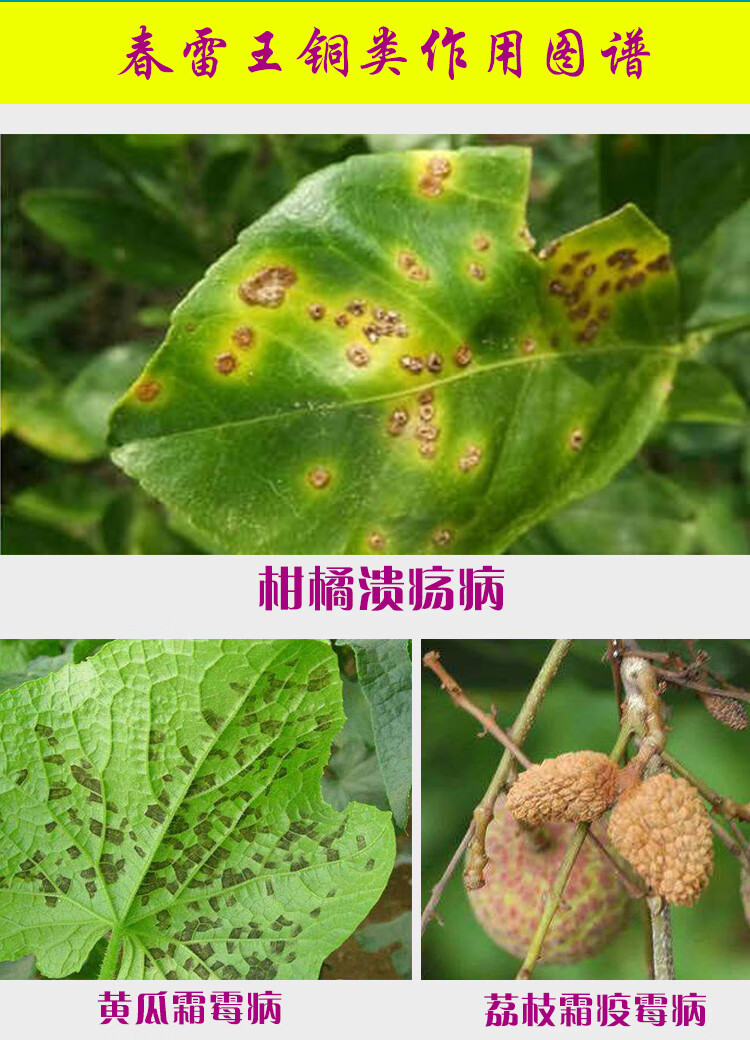 中保农药47春雷霉素王铜蔬菜果树溃疡病霜霉病霜疫霉病杀菌剂100ml
