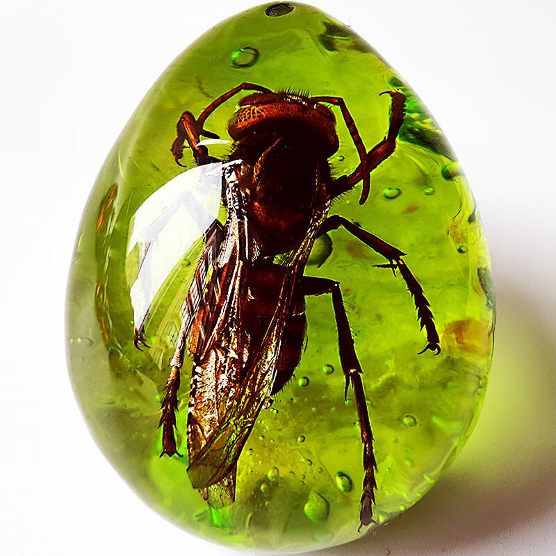 启珀 昆虫标本 虎年新款真昆虫标本真虫蝎子蝴蝶琥珀水滴形吊坠百搭