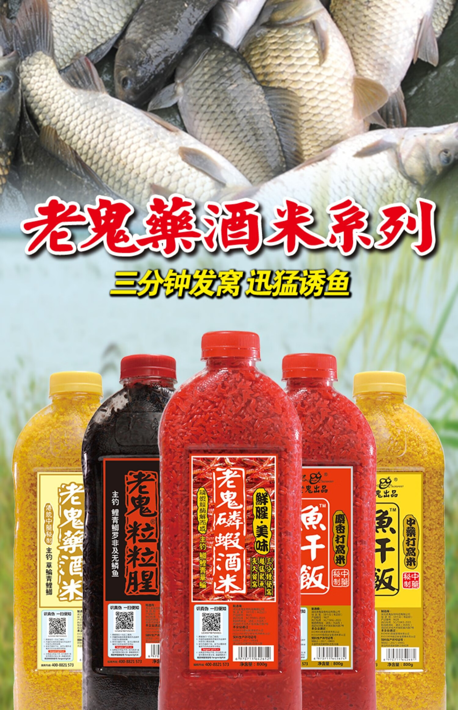 饵料野钓冬季粒粒腥鱼干饭窝料官方旗舰店野钓鲢鳙鲤鱼黄鳝诱饵黄鳝药