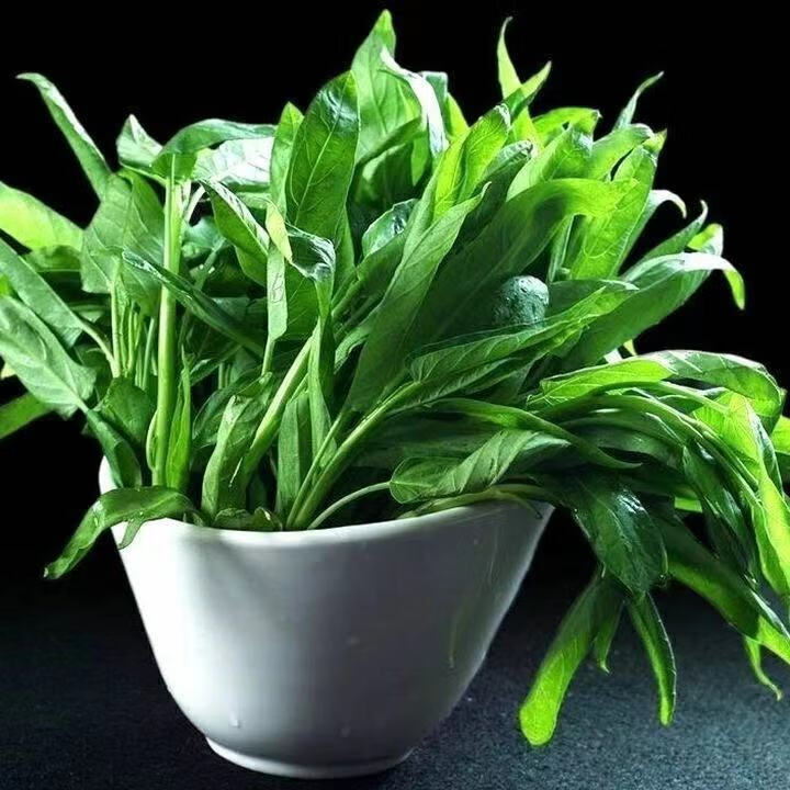 柳叶空心菜四季菜种籽细叶小叶尖叶通心菜室内盆栽阳台菜 柳叶青梗