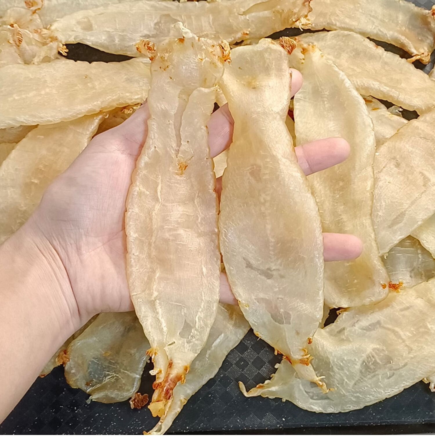 湛江赤嘴鳘鱼胶公母肚 本港赤嘴条筒 花胶干货 产后术后月子大补 11头