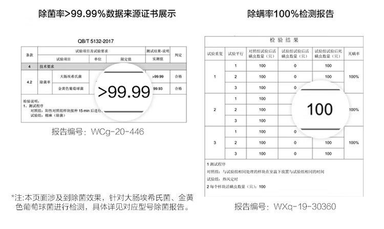 e98877b878437805.jpg