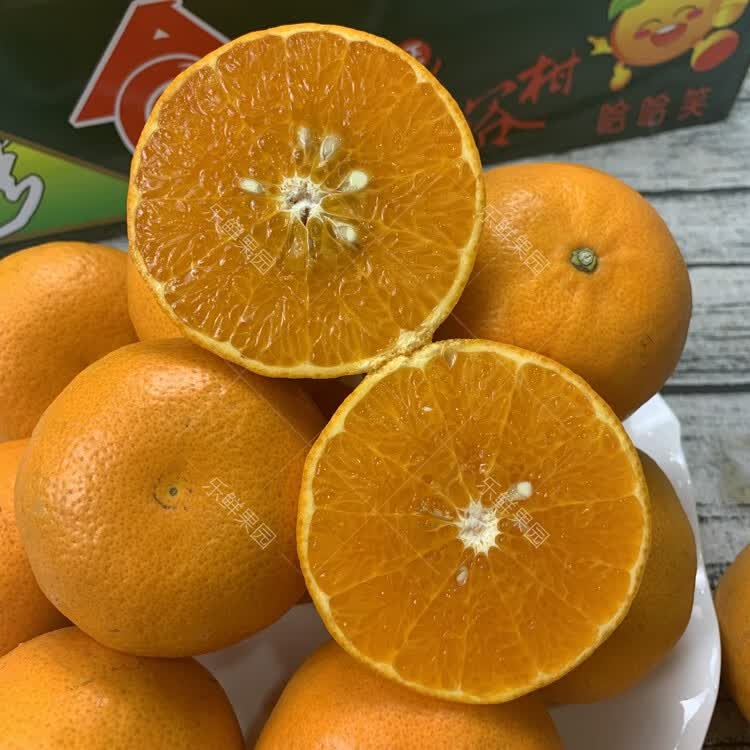 台湾茂谷柑3斤精选大果柑橘蜜柑超甜多汁桔子新鲜时令水果 1500g 3斤