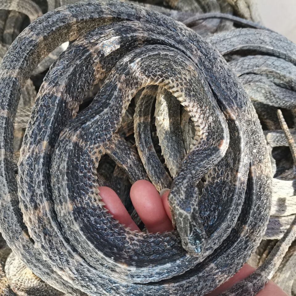 伟博白花蛇泡酒料大白花蛇舌草中药材百花蛇小蛇泡酒材料250克