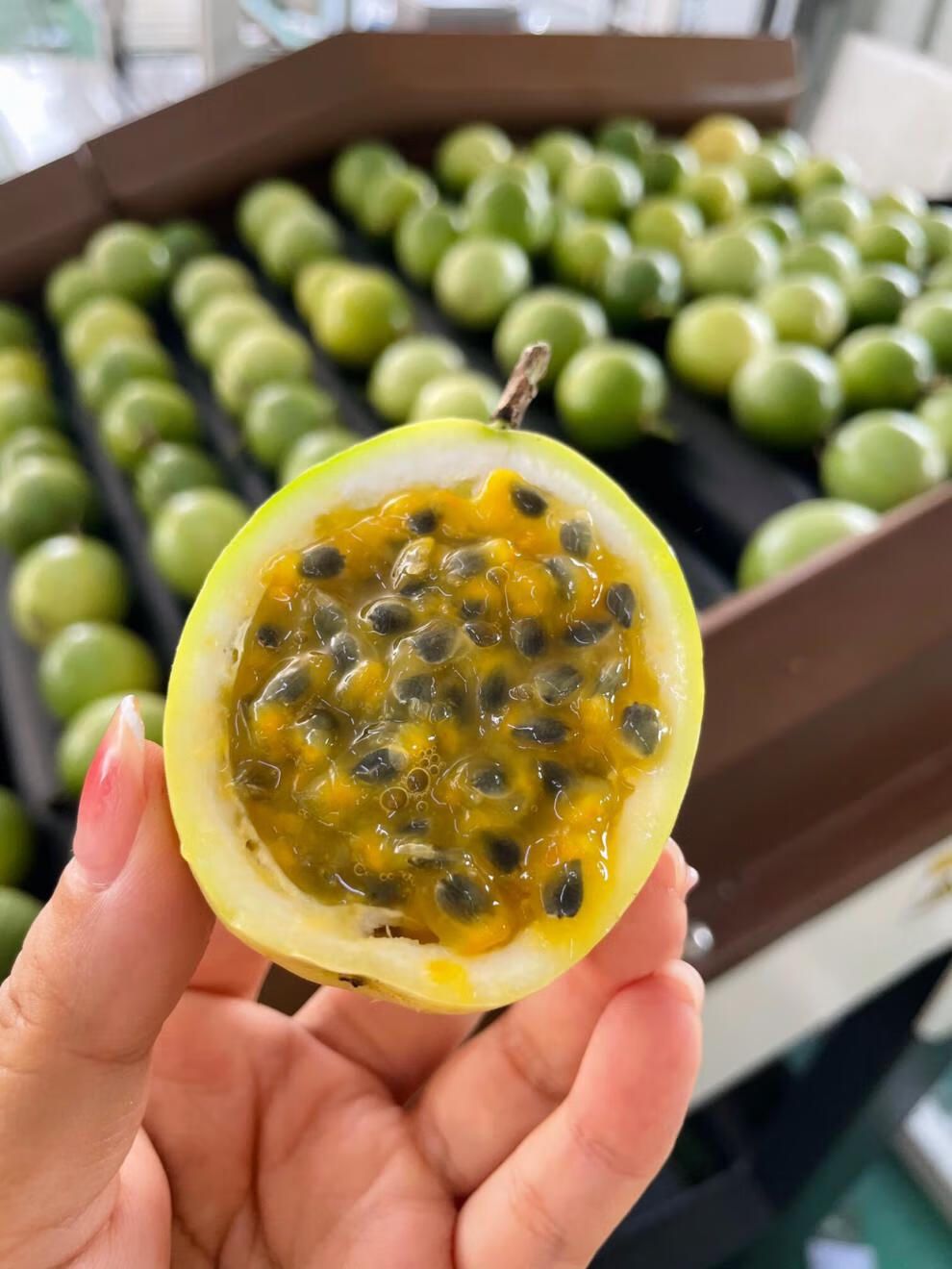 5斤大果礼盒 4斤【图片 价格 品牌 报价】-京东