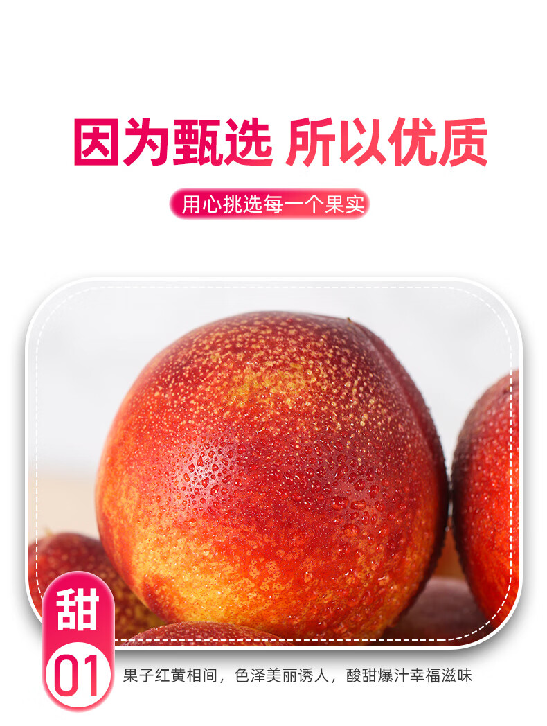 坏果包赔智利进口油桃新鲜水果应季孕妇时令蜜桃大桃子脆桃整箱智利