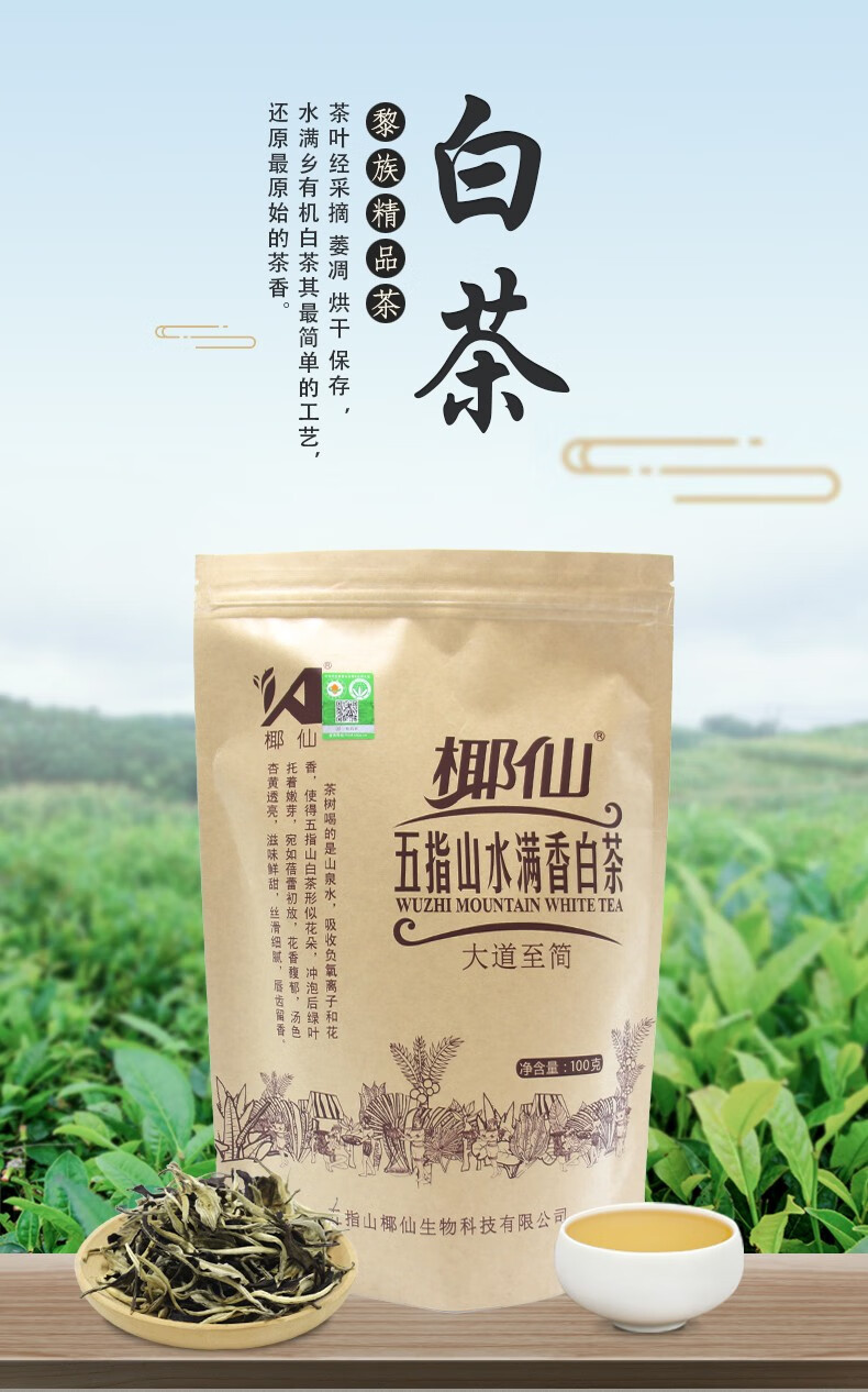 椰仙五指山白茶100g海南特产大叶种水满香特级茶叶新茶茶礼