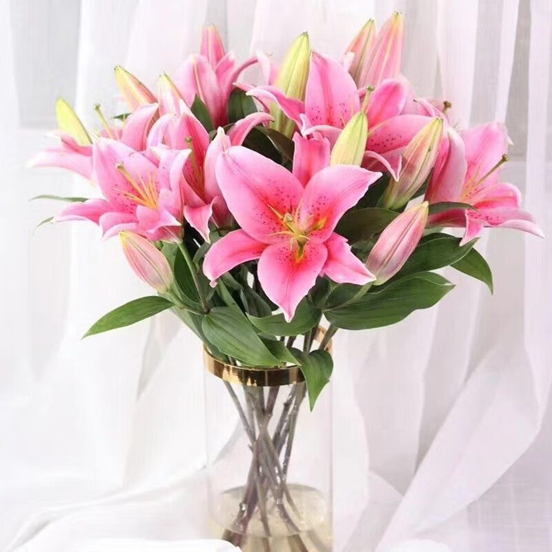 昆明基地直发直批发混搭玫瑰花插花鲜切花 10朵黄色百合 10支香槟玫瑰