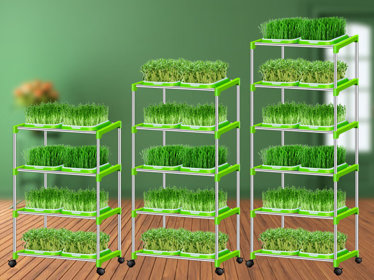 豆芽菜育苗盘芽苗豌豆苗种植盘盆架小麦种子无土栽培水培蔬菜神器双排