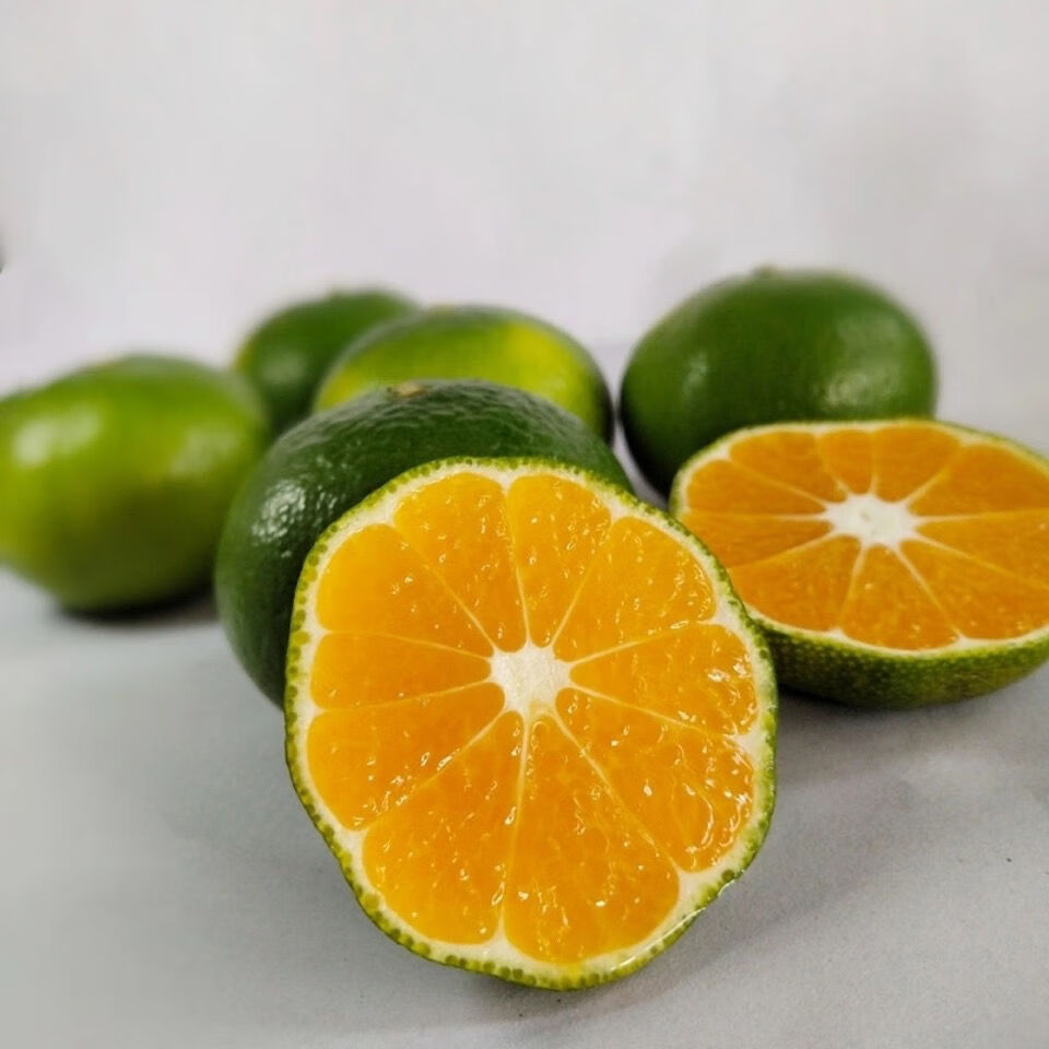 云南新鲜特早蜜桔孕妇酸绿皮橘子青黄皮现摘桔子应季水果510斤现摘现