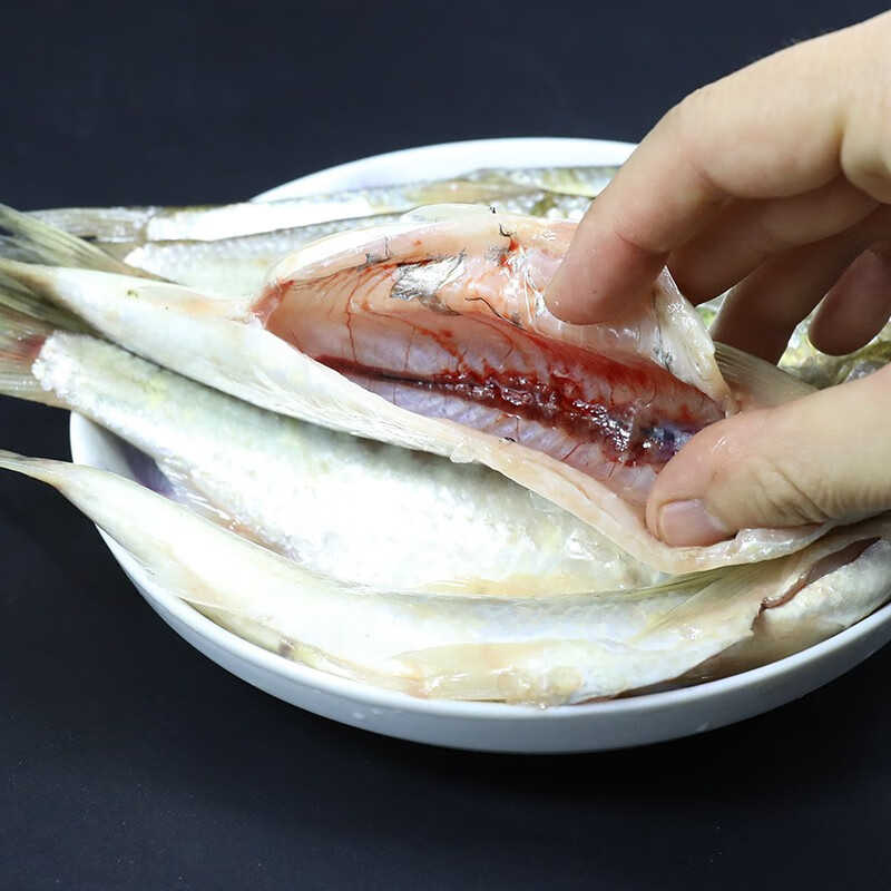 源外园小白条鱼新鲜小河鱼淡水杂鱼餐条刁子鱼川条鱼翘嘴鱼现杀 2斤(5