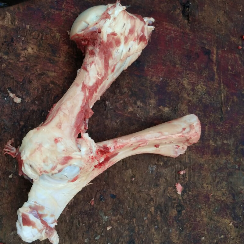 棠鲜生 新鲜整根牛骨头6斤装本地黄牛大牛棒骨牛筒子骨腿骨补钙熬汤