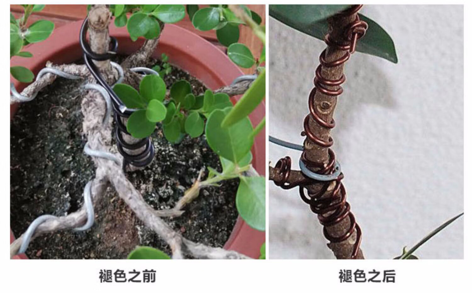 盆景铝丝 白色4mm 1斤 约12米【图片 价格 品牌 报价】-京东