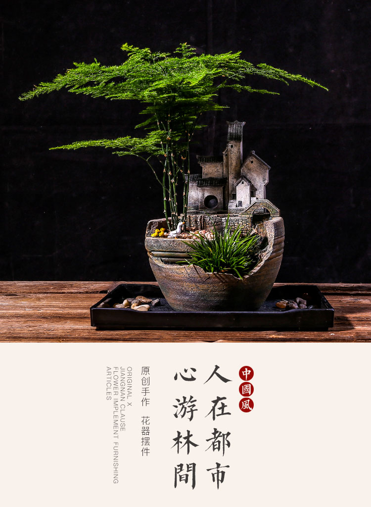 中式禅意文竹花盆造景摆件多肉植物微景观创意室内小盆栽菖蒲盆景 虎